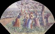 Camille Pissarro Peasant Women Placing pea-Sticks in the Ground oil painting reproduction